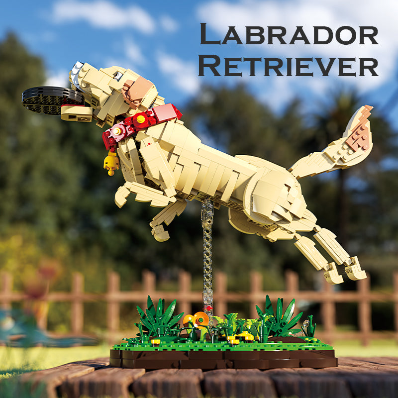 Xbert Labrador Retriever Building Block Set - 66060-1.jpg