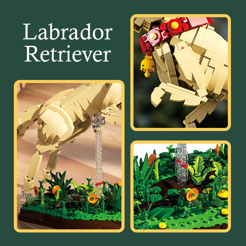 Xbert Labrador Retriever Building Block Set - 66060-4.jpg