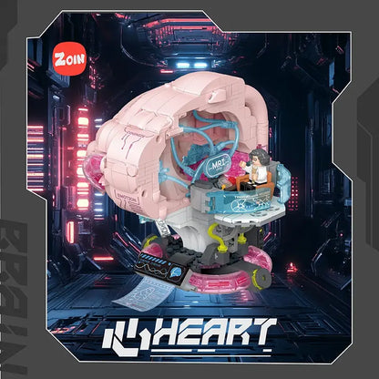 Zoin Brain Model Kit