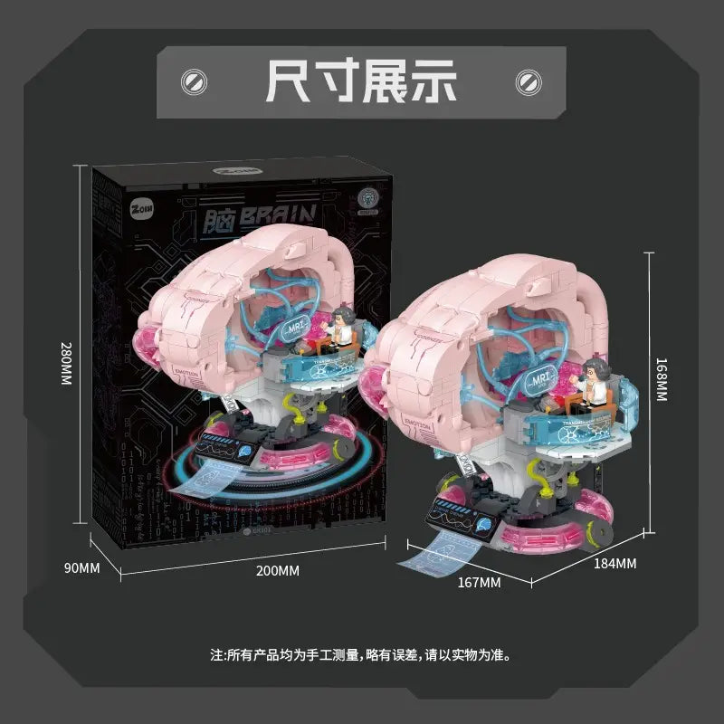 Zoin Brain Model Kit