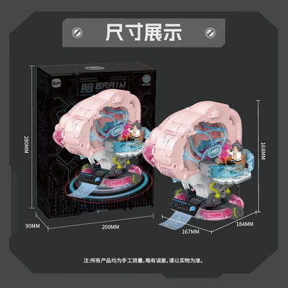 Zoin Brain Model Kit