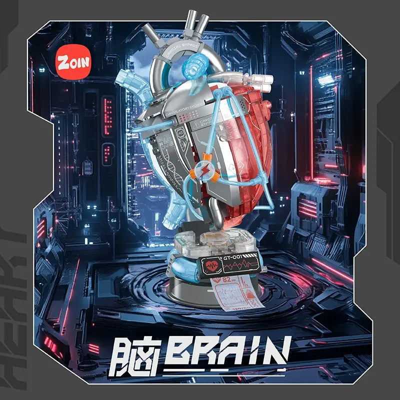 Zoin Heart Model Kit