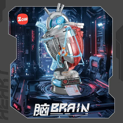Zoin Heart Model Kit