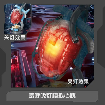 Zoin Heart Model Kit