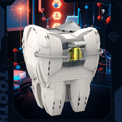 Zoin Tooth Model Kit