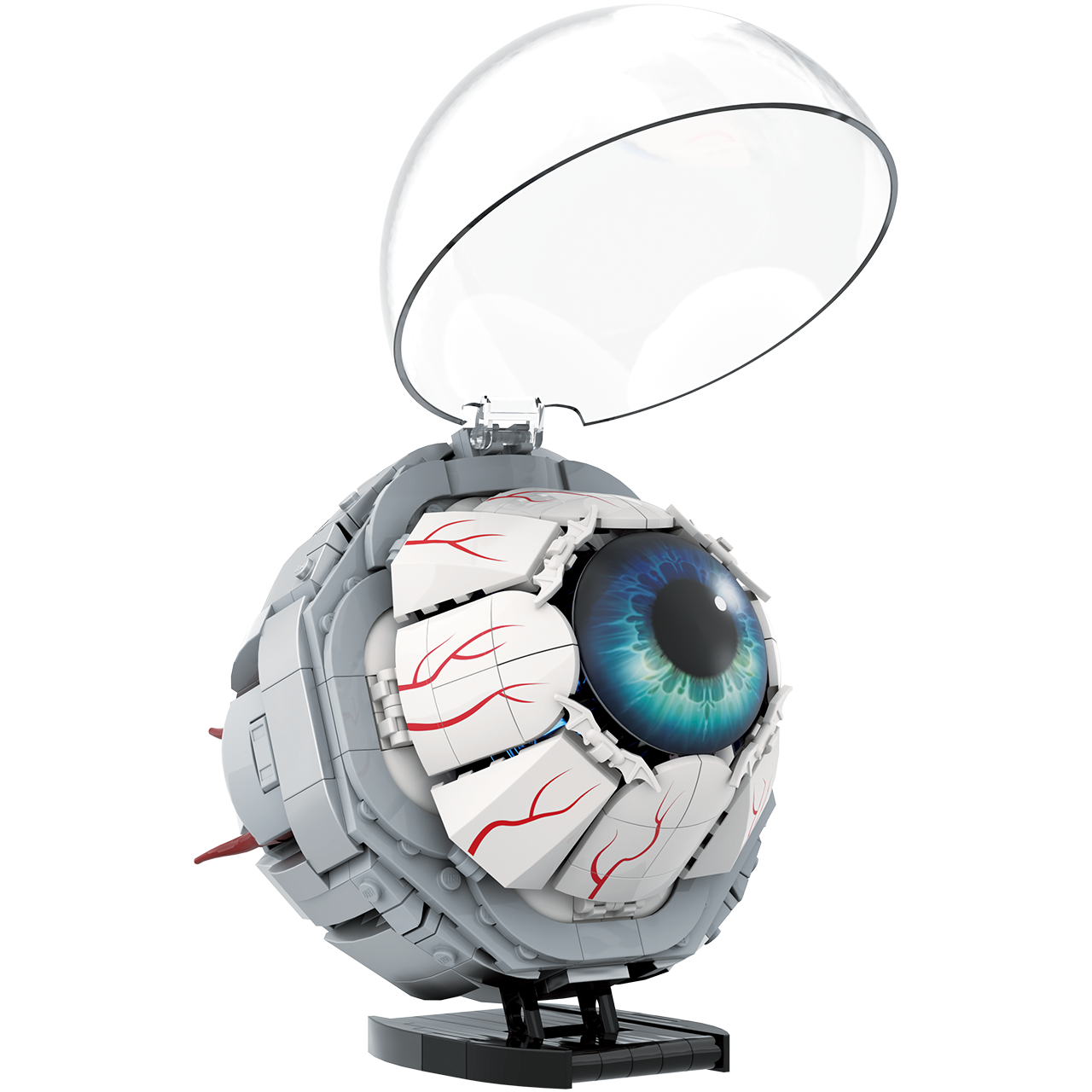 Zoin Eye Model Building Block Set - GK104-4.png