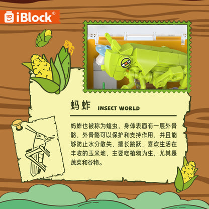 iBlock Display Set Building Toy Set - IB2202__IB2202-11.jpg