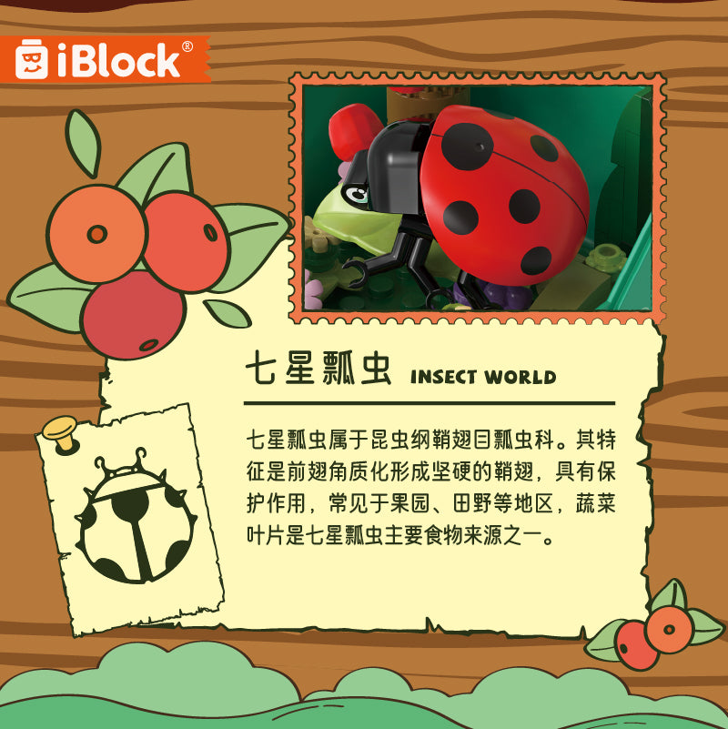 iBlock Display Set Building Toy Set - IB2202__IB2202-16.jpg