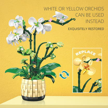 JIESTAR Orchid Building Block Set - JJ9067-3.jpg